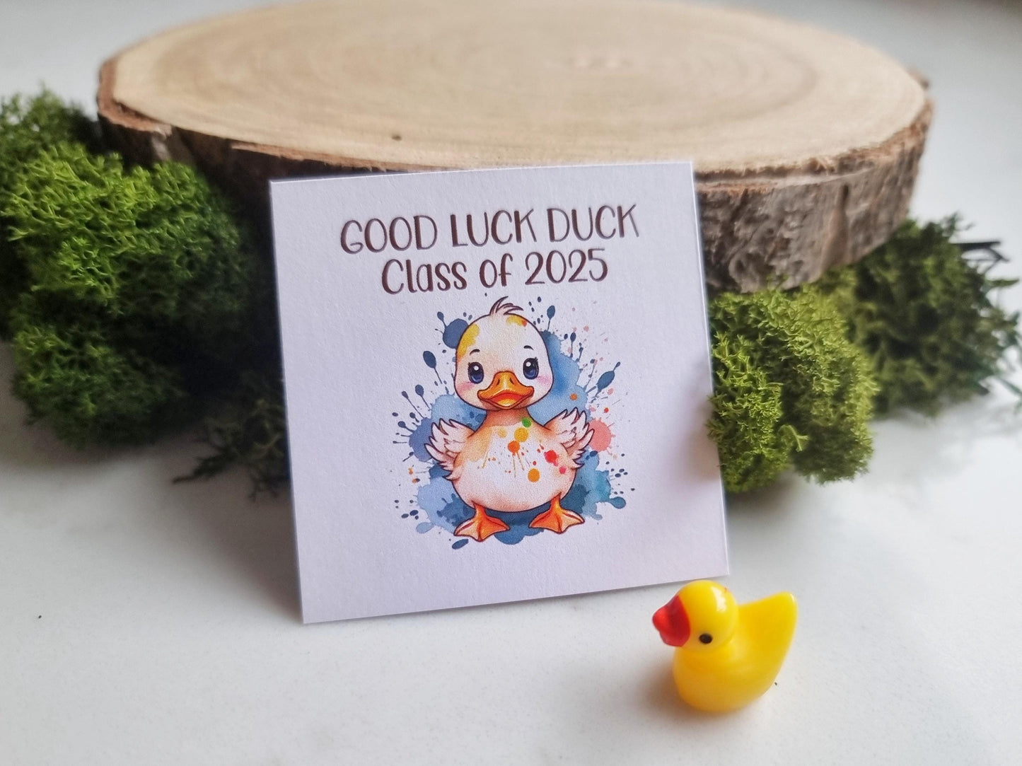 Good Luck duck, Class of 2025 School leavers gift with Card, keepsake, hug for pupils students University, College exams gcse PTA bulk gifts