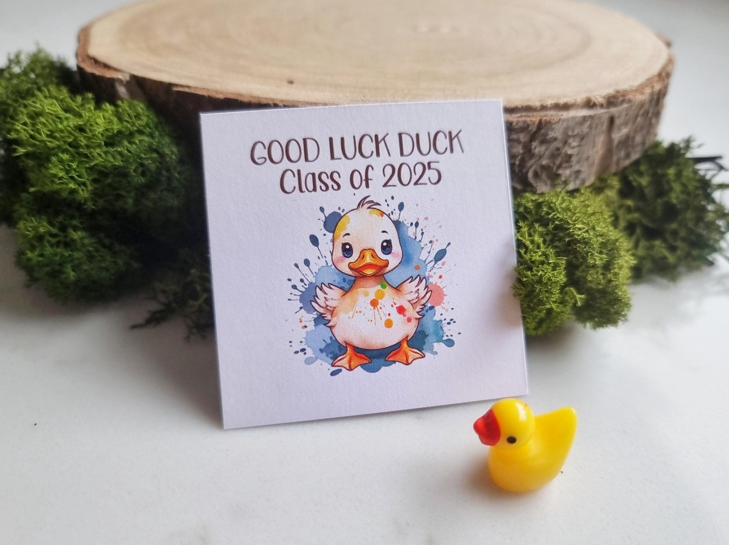 Good Luck duck, Class of 2025 School leavers gift with Card, keepsake, hug for pupils students University, College exams gcse PTA bulk gifts