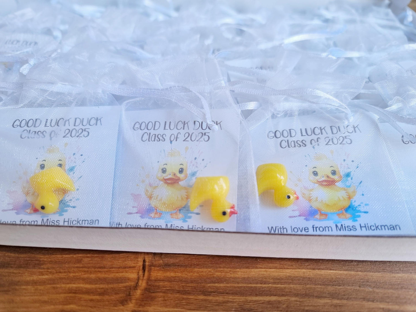 Good Luck duck, Class of 2025 School leavers gift with Card, keepsake, hug for pupils students University, College exams gcse PTA bulk gifts