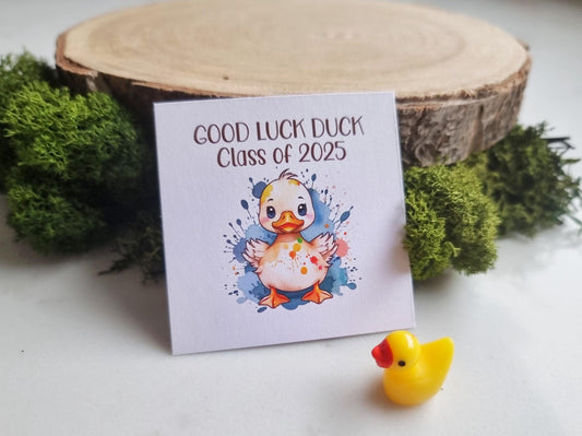 Good Luck duck, Class of 2025 School leavers gift with Card, keepsake, hug for pupils students University, College exams gcse PTA bulk gifts